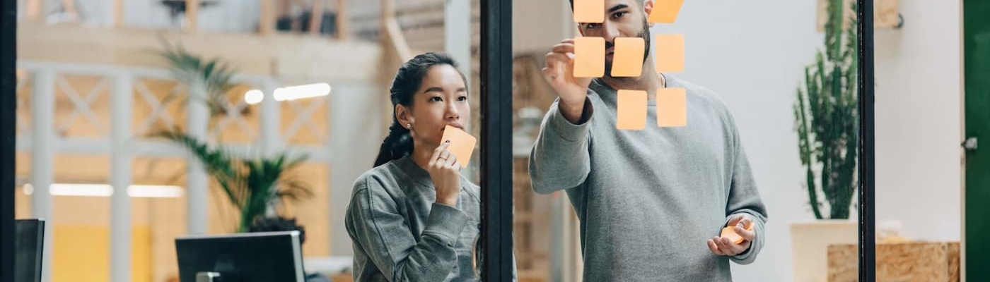 Quelles études pour s'insérer facilement