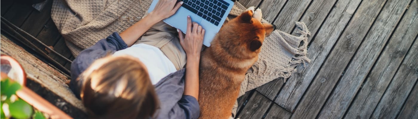 Conseils pour avoir un animal en étant étudiant