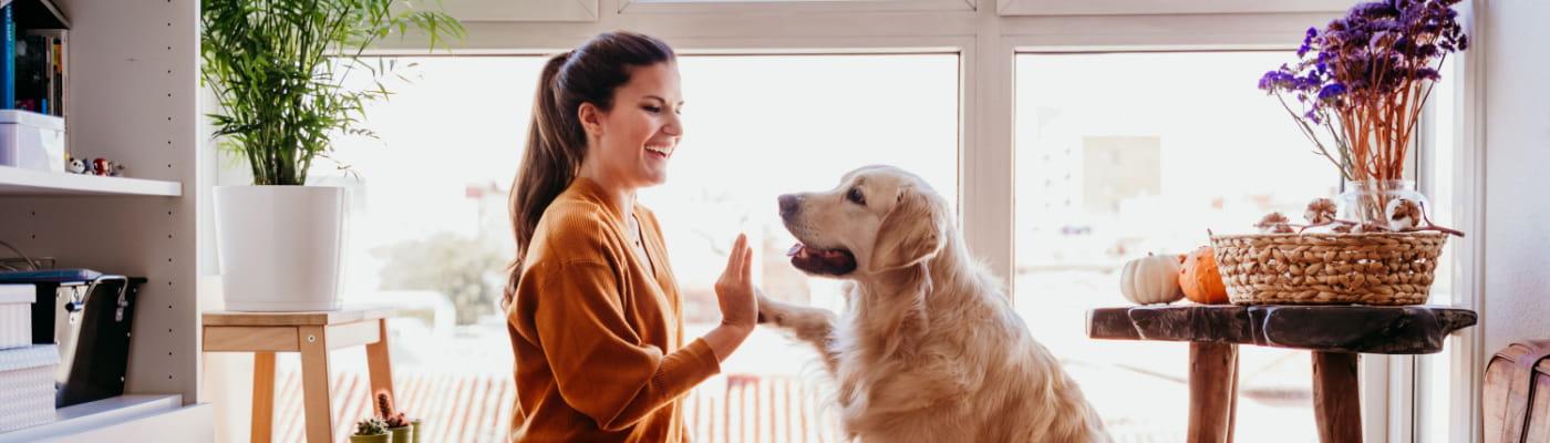 jobs étudiants à domicile
