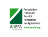 Logo ANEFA