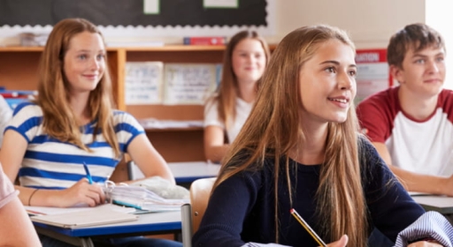 Comprendre le brevet des collège pro